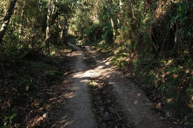 Visit to Chicaque Natural Park Private Tour from Bogotá. (8 Hrs.) - Price and logistics: is $289 per person a fair deal?