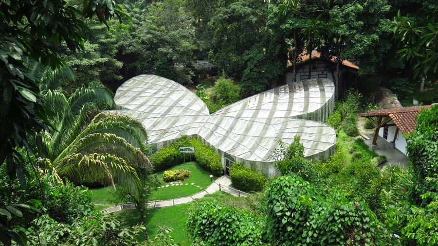 Walking tour José Celestino Mutis Botanical Garden 3 hrs - Your 3 hours on the garden path, and what happens in each part