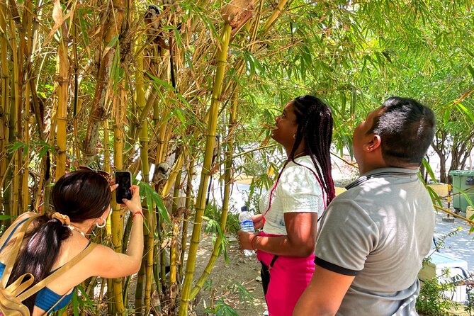 Walking tour of the magical city of Cartagena. - Santo Domingo Square and the Clock Tower: a good way to end the walled city